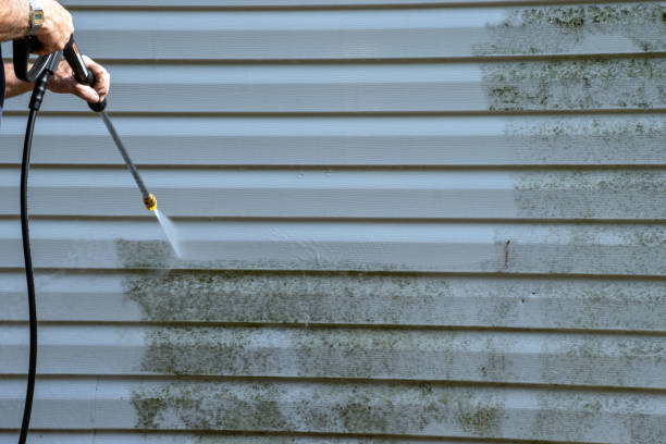 Best Siding Removal and Disposal  in Frankford, DE